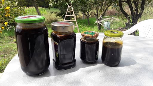 تصویر 2 از شیره خرما برای کبد چرب تهیه شده از خرمای مرغوب